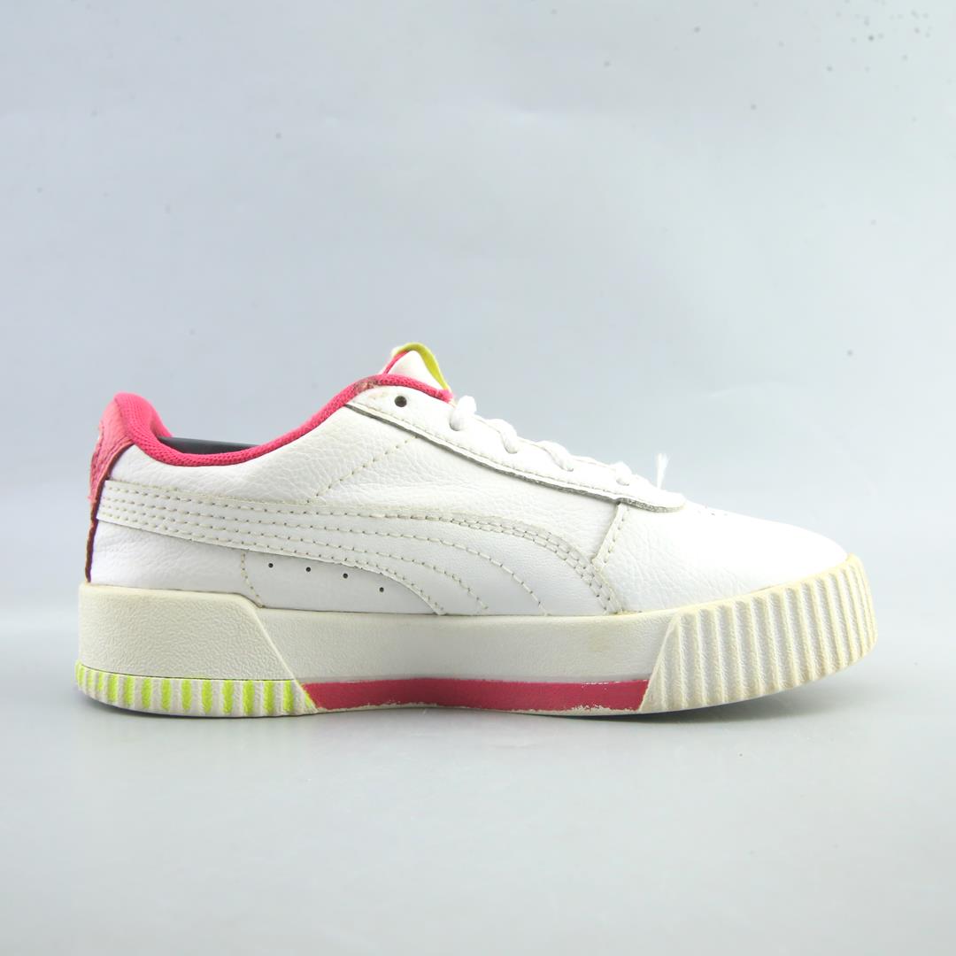 Puma Carina L