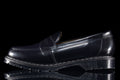 Hi-Shine Penny Loafer