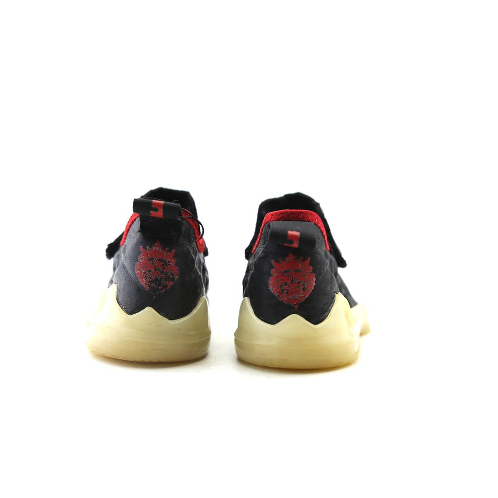 Nike Lebron 17 Dunked
