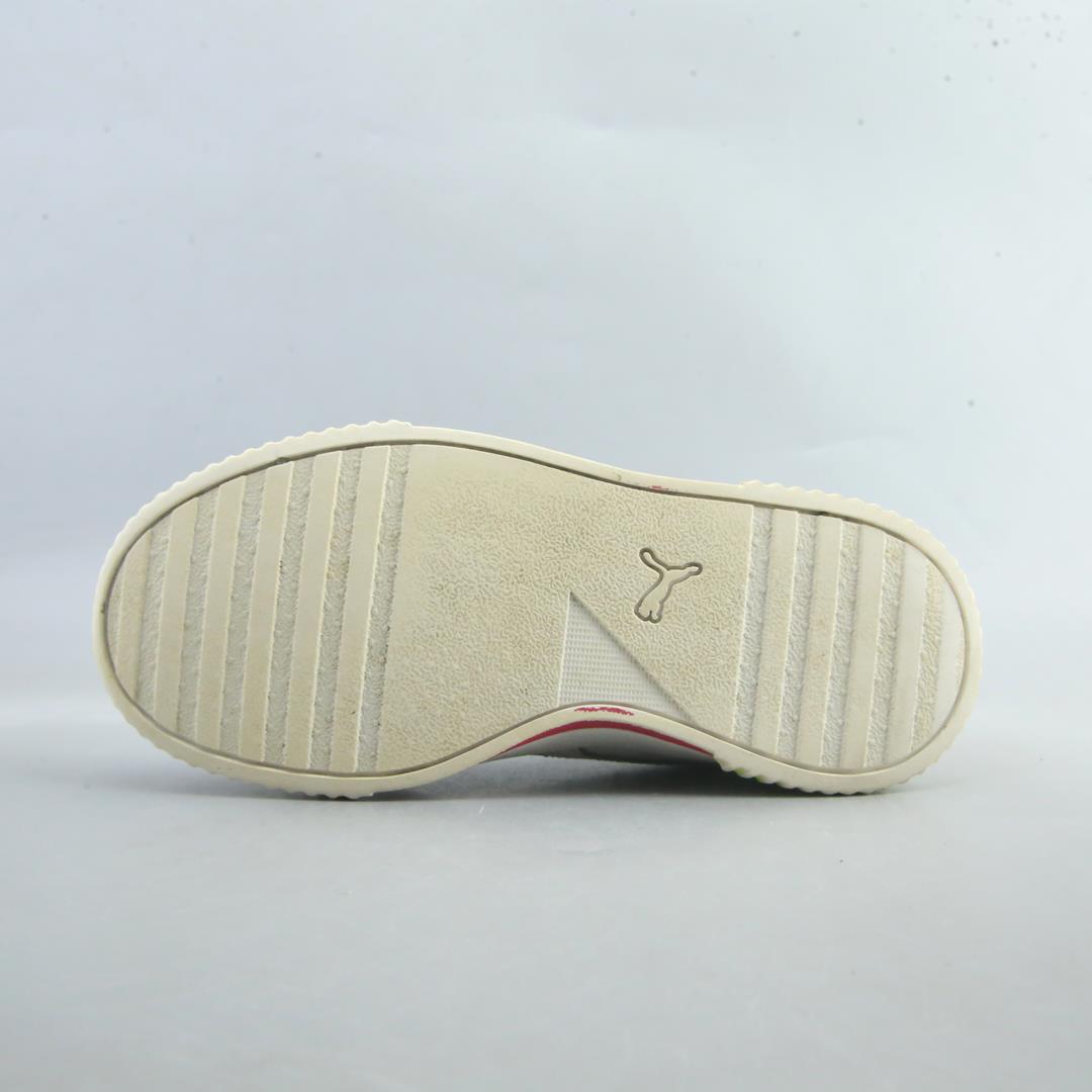 Puma Carina L