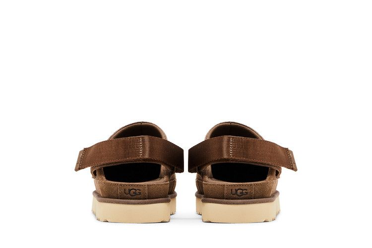 UGG Goldenstar Clog Hickory (Women's)