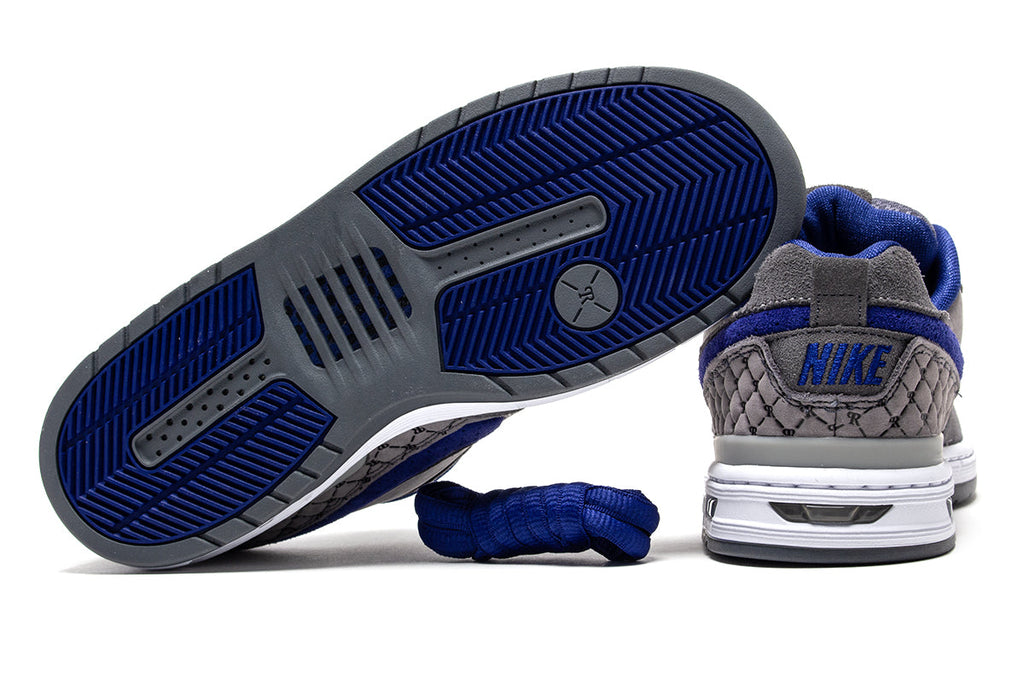 Paul Rodriguez Zoom Air Low