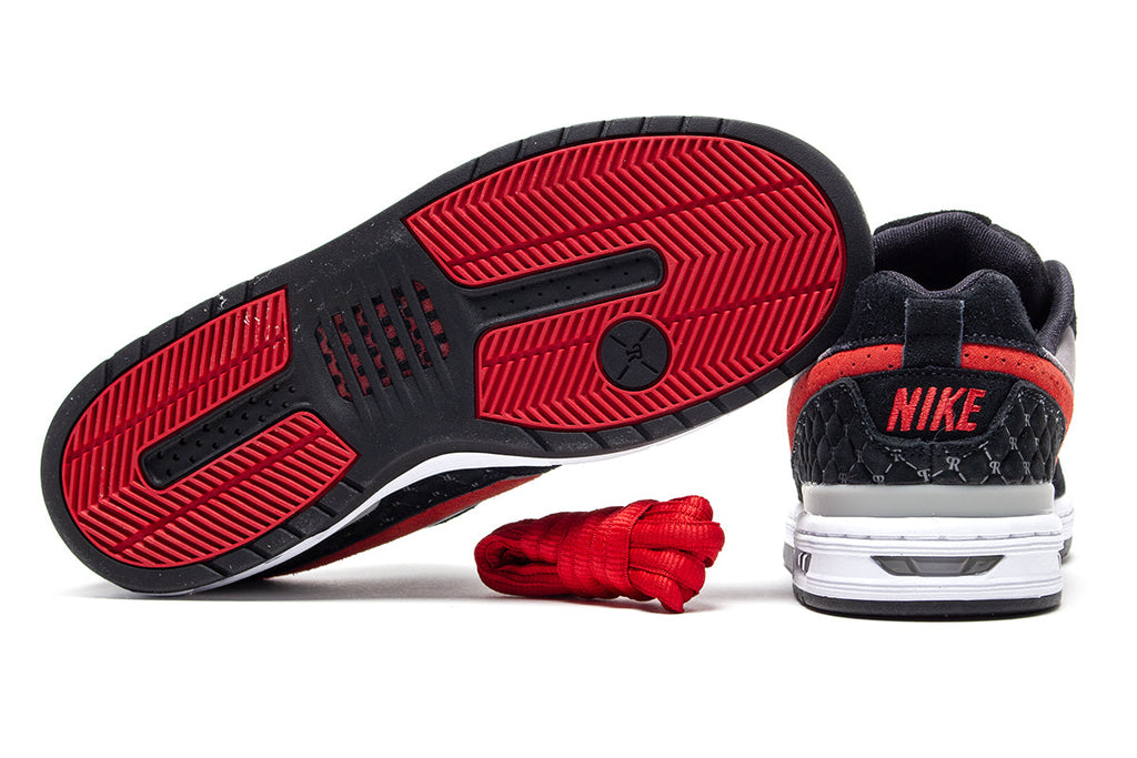 Paul Rodriguez Zoom Air Low