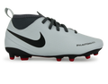 Nike Kids Phantomvsn Club Df Fg/Mg Pure Platinum/Black/Light Crimson/Dark Grey