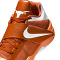 Nike Zoom Kd Iv - Texas