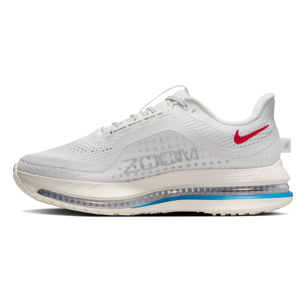 Nike Pegasus Premium