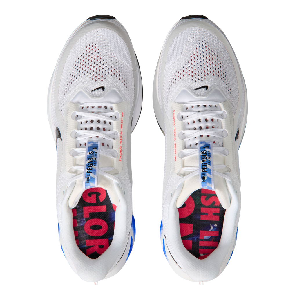 Nike Pegasus Premium CM