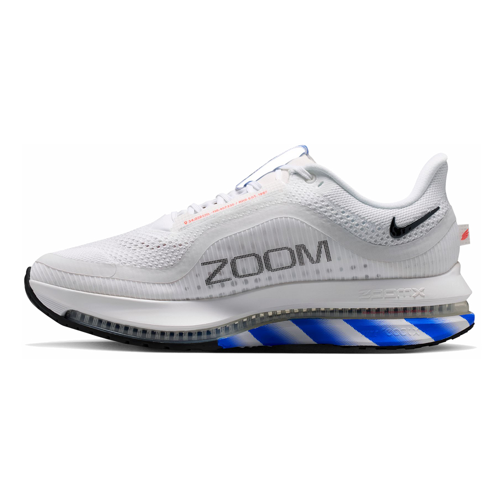 Nike Pegasus Premium CM