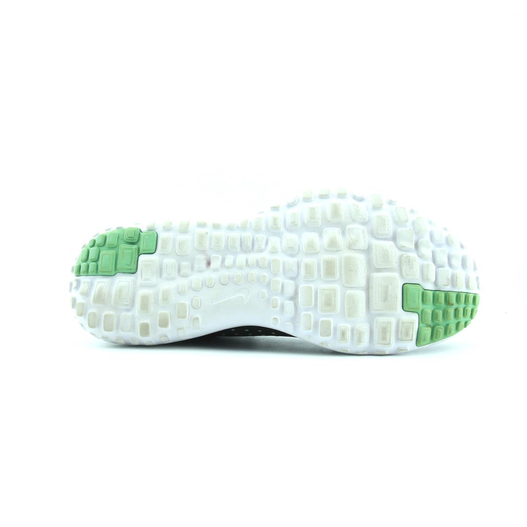 Nike Fs Lite Run 3