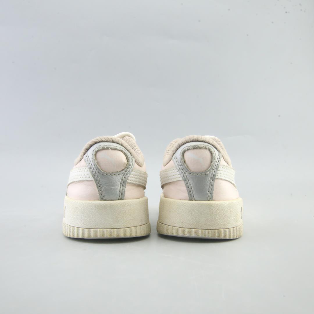Puma Carina L