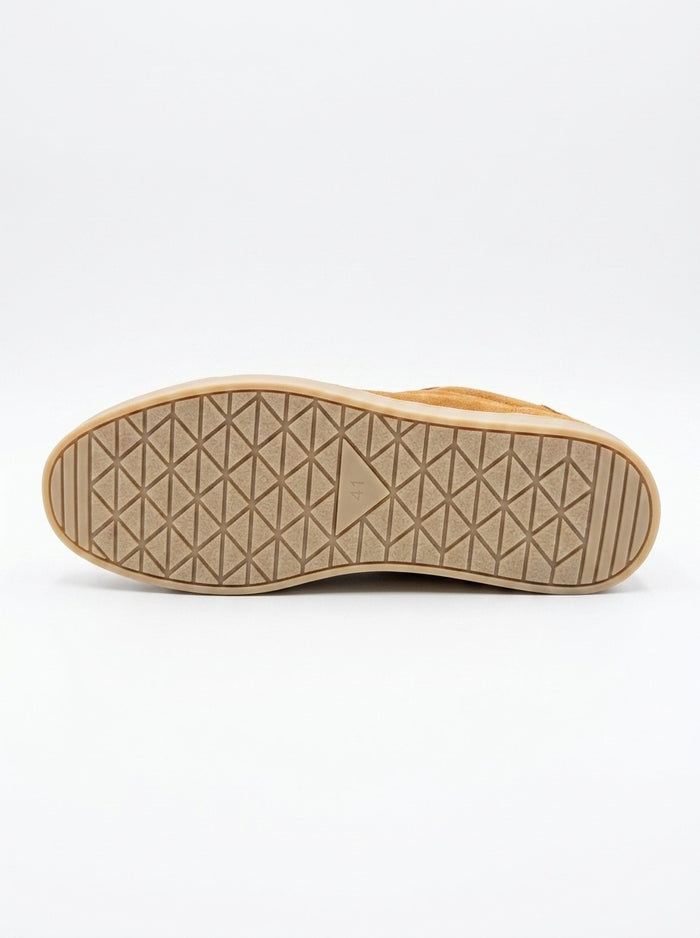 Apricot AL33-68-A