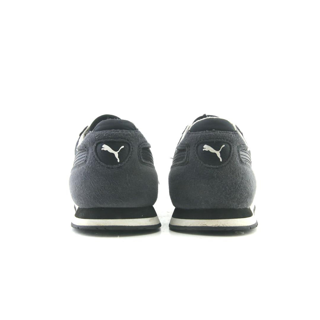Puma Vista