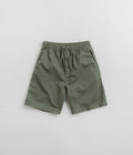 Carhartt Flint Shorts - Park