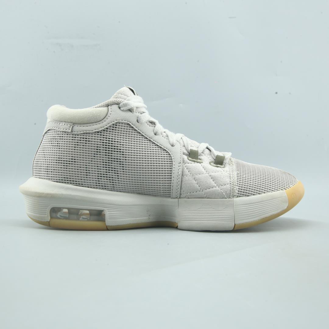 Nike Lebron Witness 8