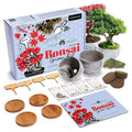 Deluxe Mini Bonsai Starter Kit - Set of 4