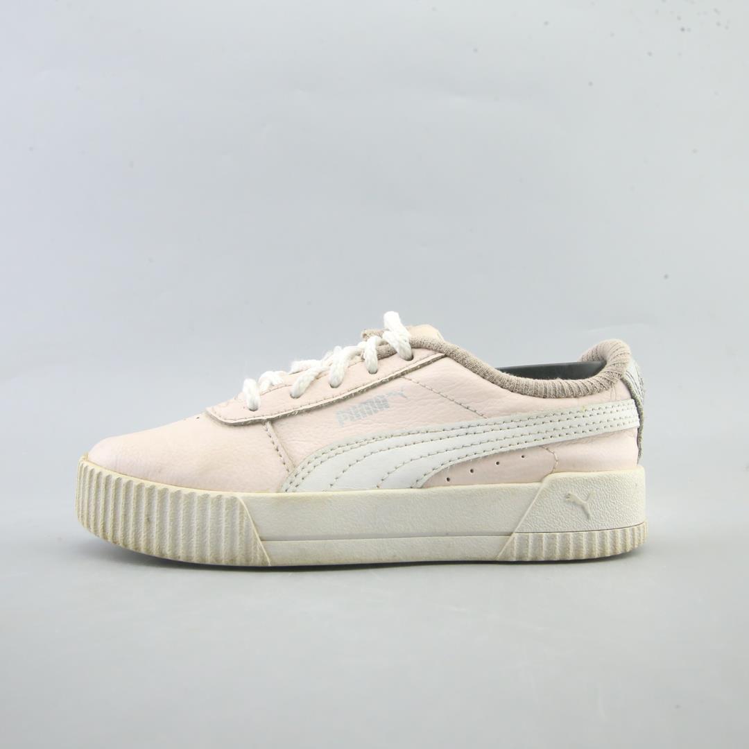 Puma Carina L