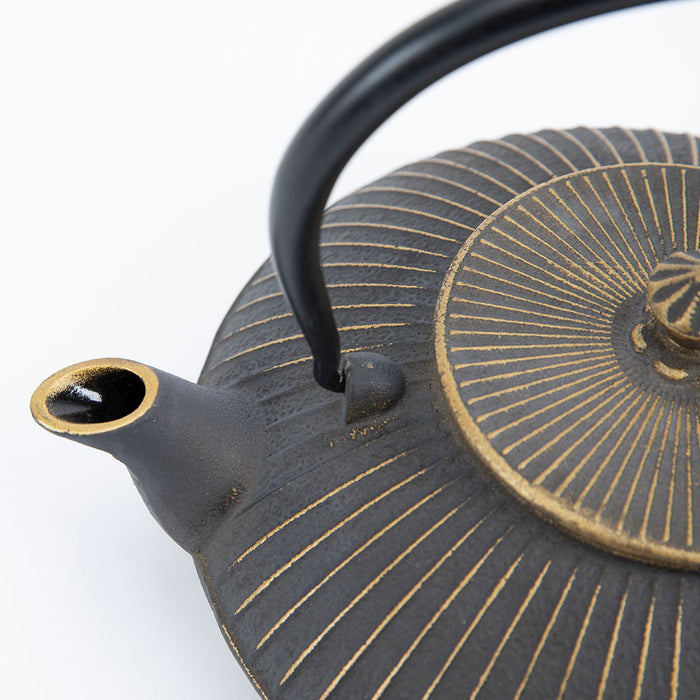 Gold & Gray Cast Iron Teapot