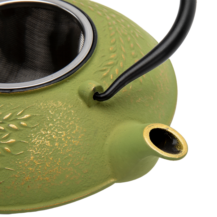 Green Cast Iron Teapot