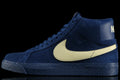 Zoom Blazer Mid
