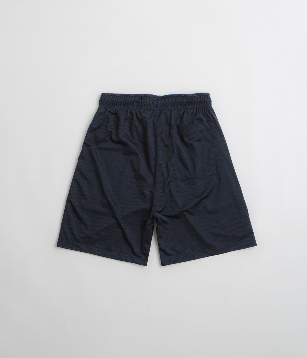 Polar Ray Shorts - Navy