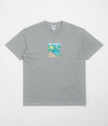 Polar Scarecrow T-Shirt - Heather Grey