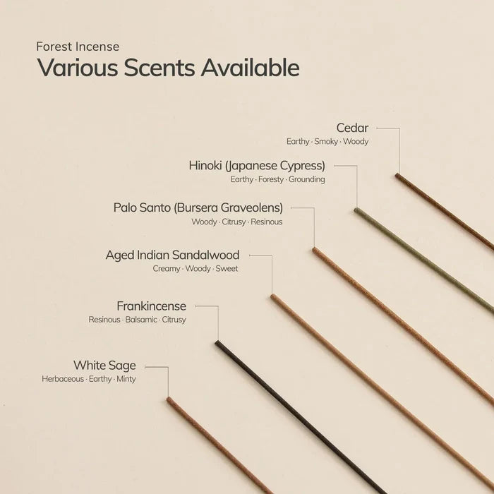 Incense sticks with labels for various scents on a beige background
