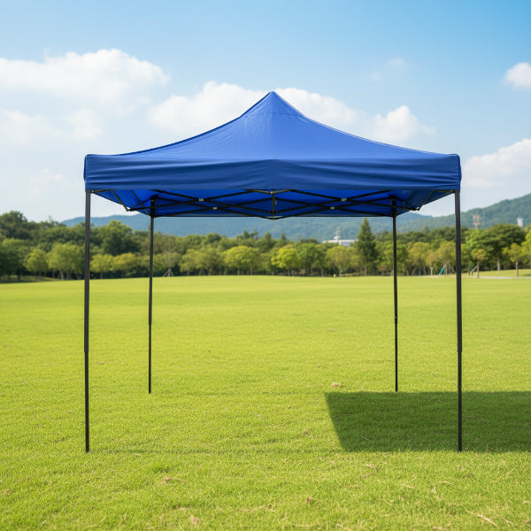 WORLD FAMOUS SPORTS® 10' X 10' BLUE CANOPY WITH SIDE WALL. In-Store Pick Up Only!